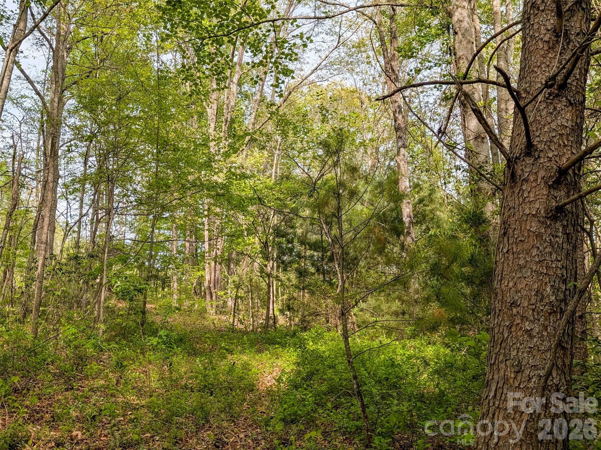 99999 Weldon Way Fairview, NC 28730 - Photo 13 of 34