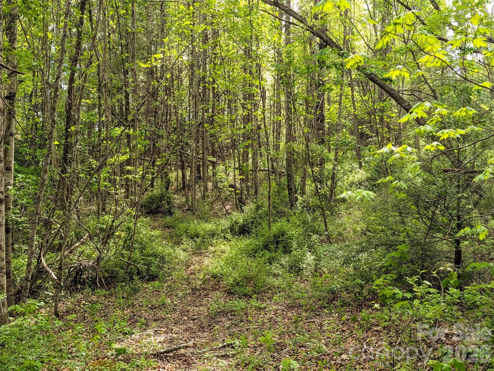 99999 Weldon Way Fairview, NC 28730 - Photo 15 of 34
