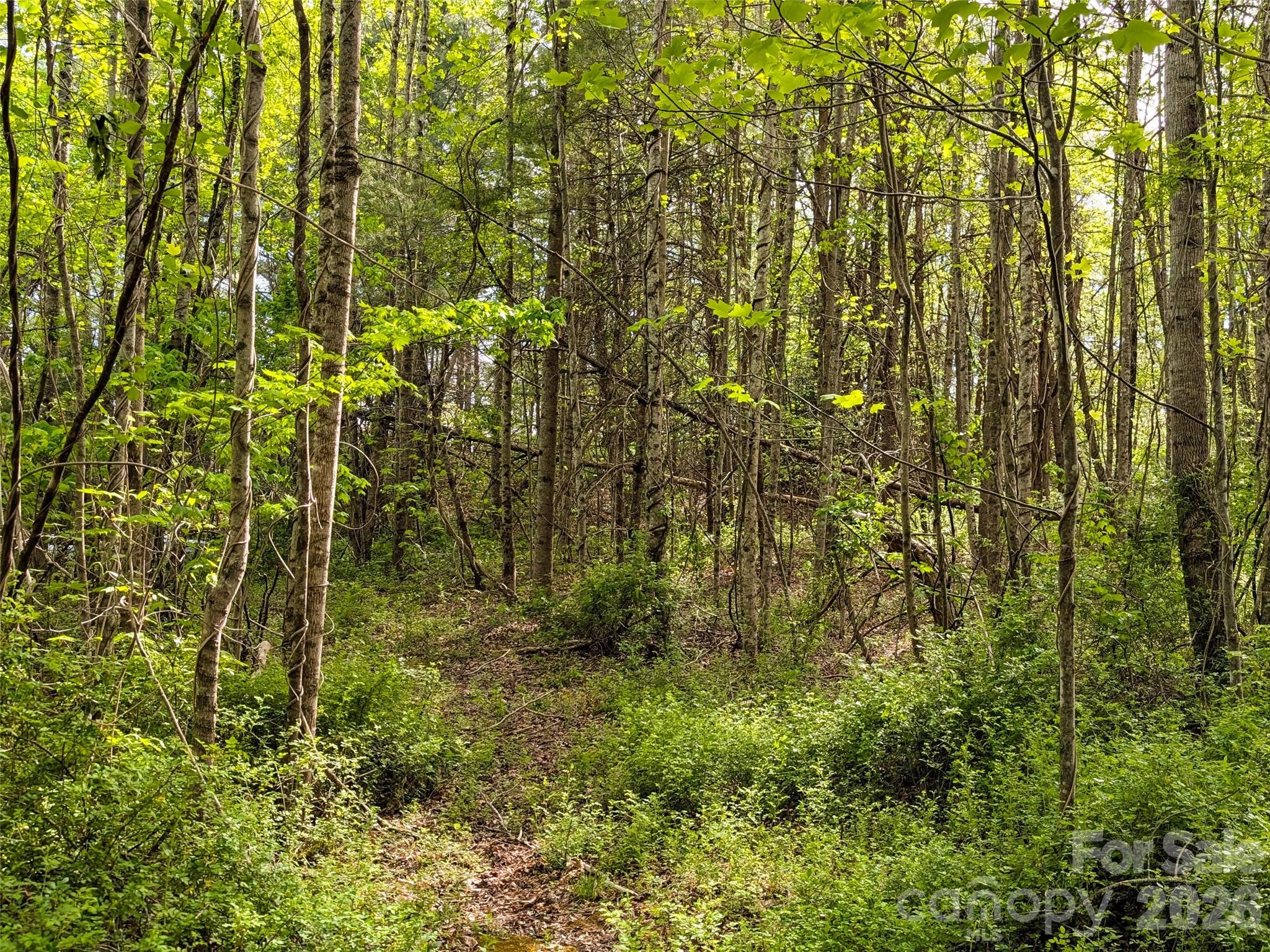 99999 Weldon Way Fairview, NC 28730 - Photo 16 of 34