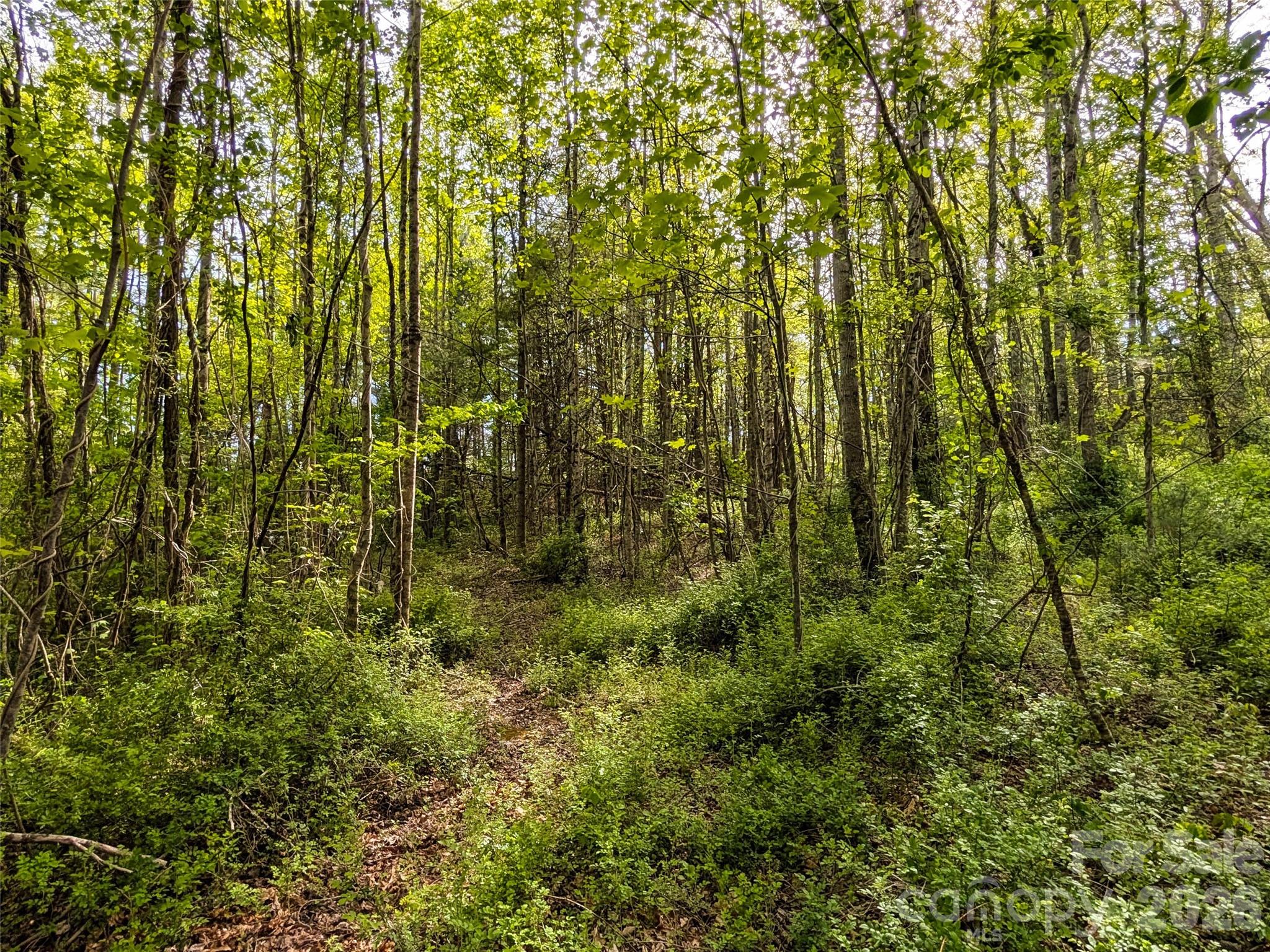 99999 Weldon Way Fairview, NC 28730 - Photo 17 of 34