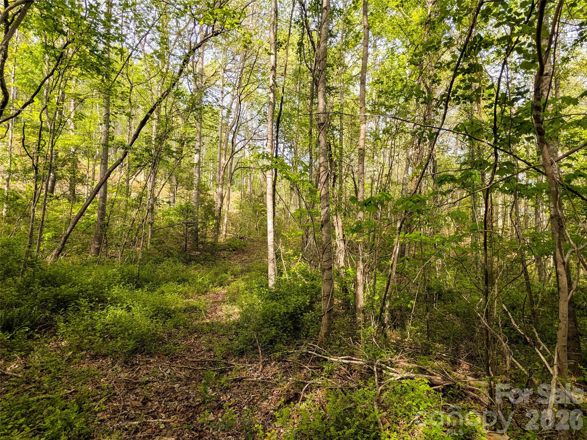 99999 Weldon Way Fairview, NC 28730 - Photo 18 of 34