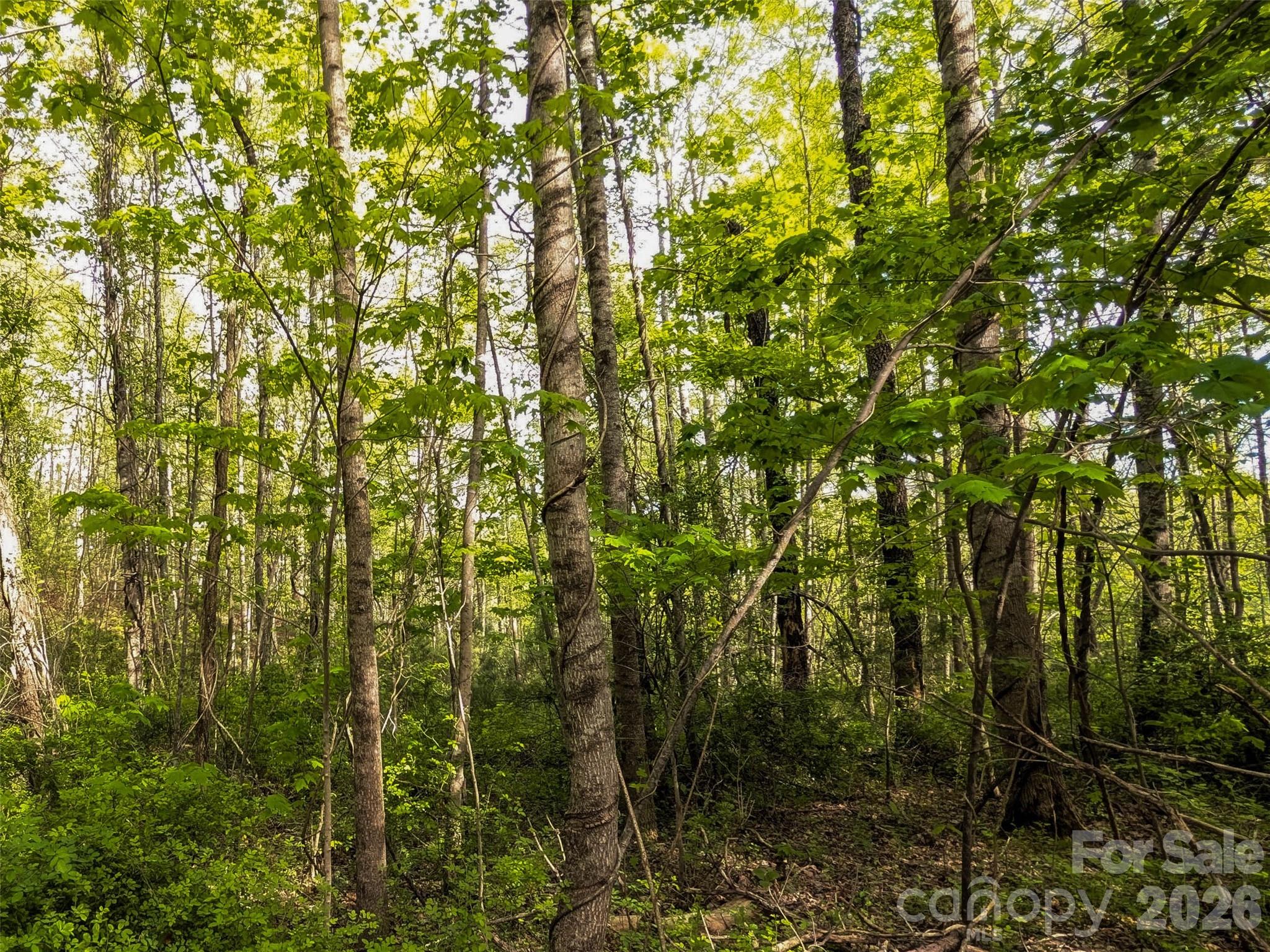 99999 Weldon Way Fairview, NC 28730 - Photo 19 of 34