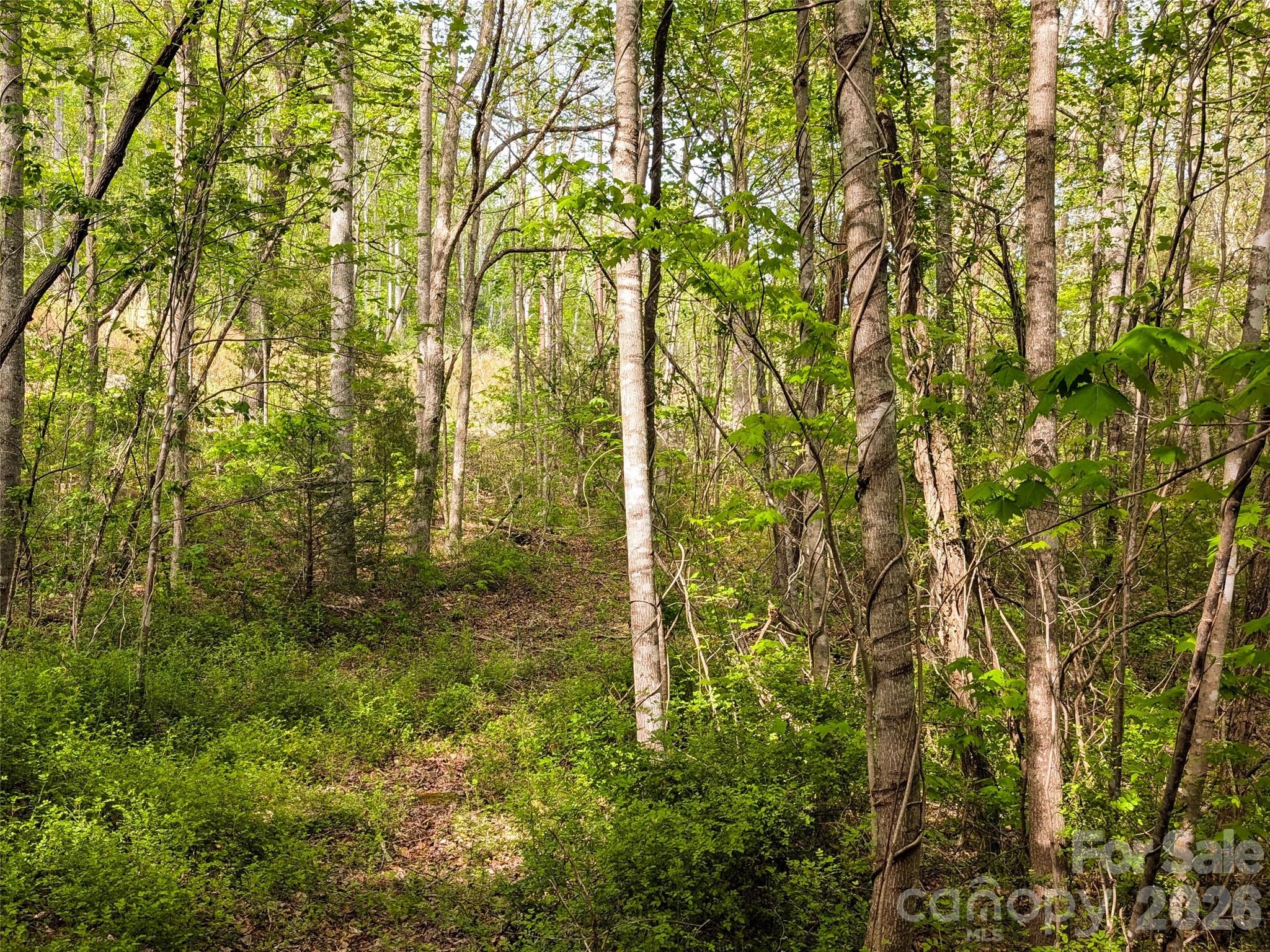 99999 Weldon Way Fairview, NC 28730 - Photo 2 of 34