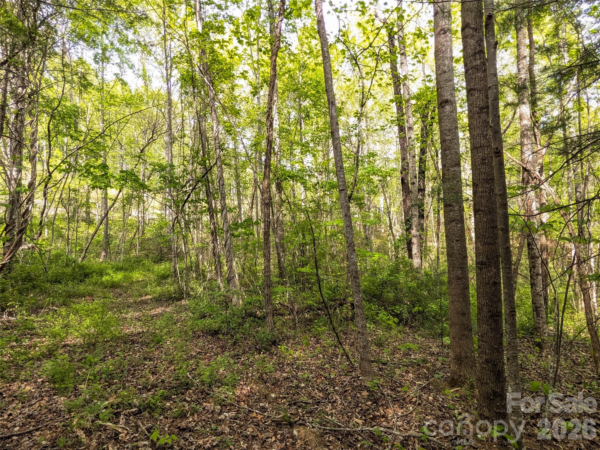 99999 Weldon Way Fairview, NC 28730 - Photo 21 of 34