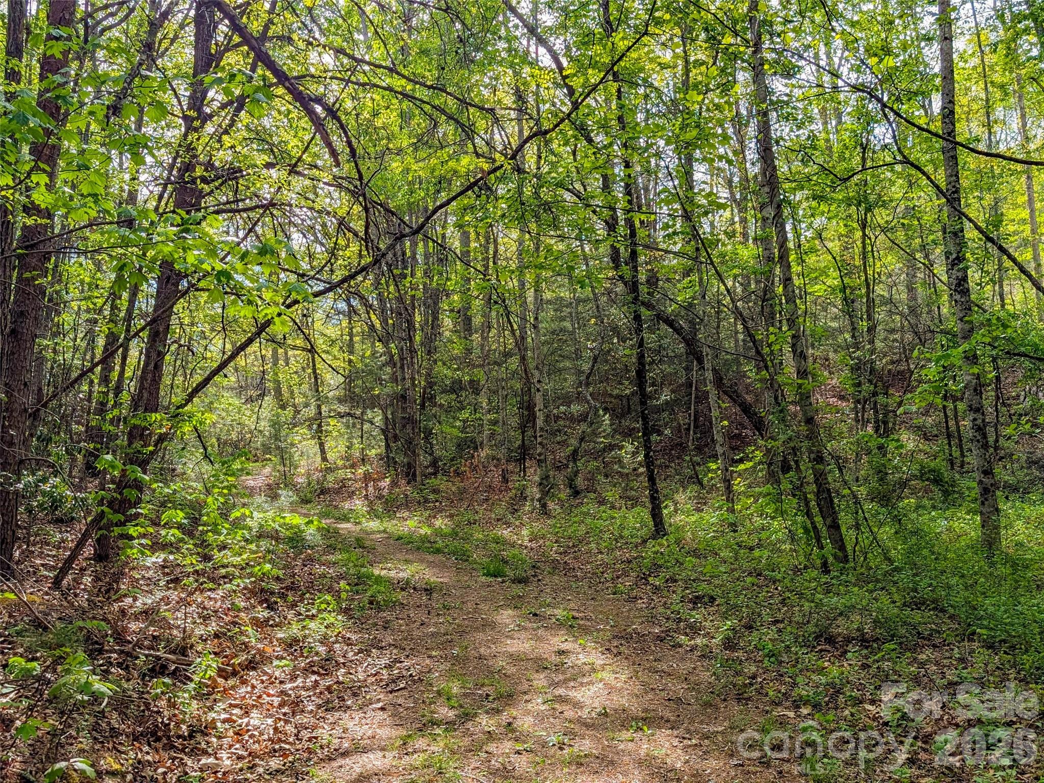 99999 Weldon Way Fairview, NC 28730 - Photo 22 of 34