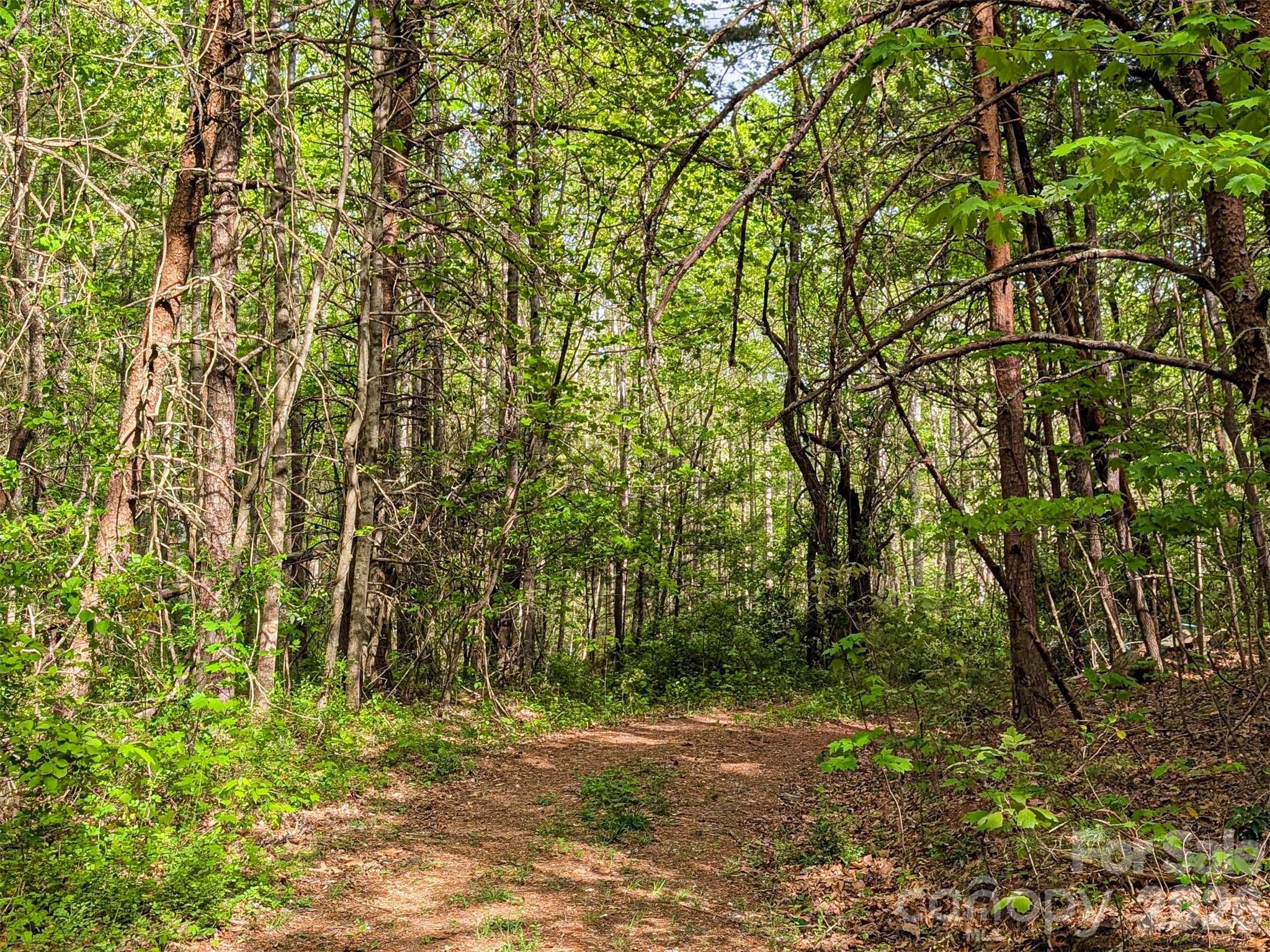 99999 Weldon Way Fairview, NC 28730 - Photo 23 of 34