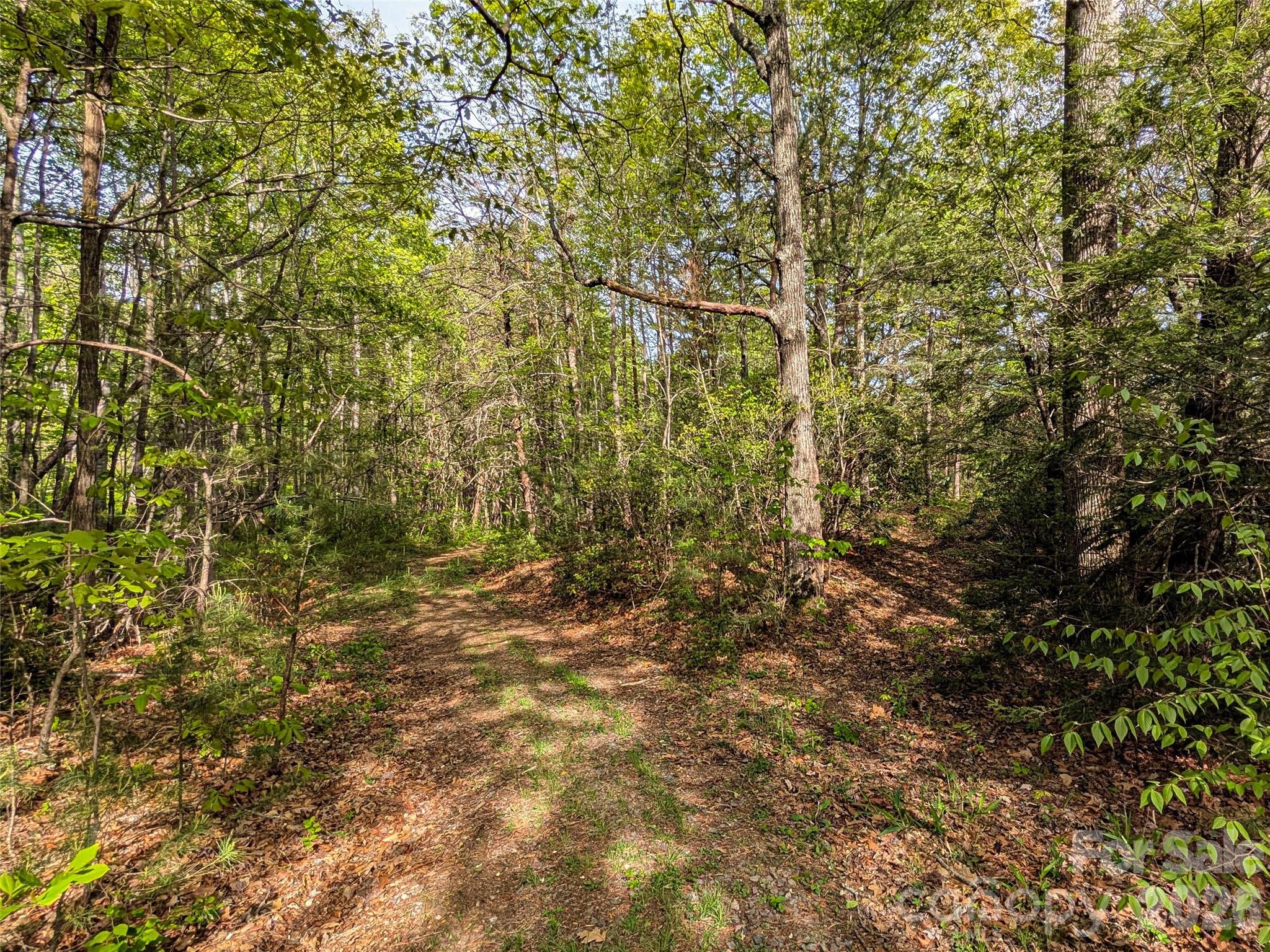 99999 Weldon Way Fairview, NC 28730 - Photo 24 of 34