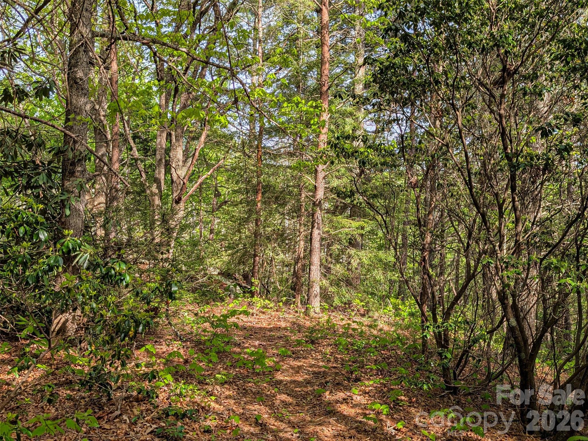 99999 Weldon Way Fairview, NC 28730 - Photo 25 of 34
