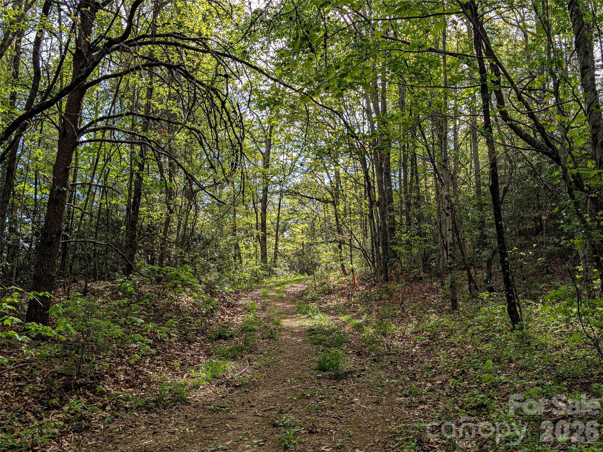 99999 Weldon Way Fairview, NC 28730 - Photo 26 of 34