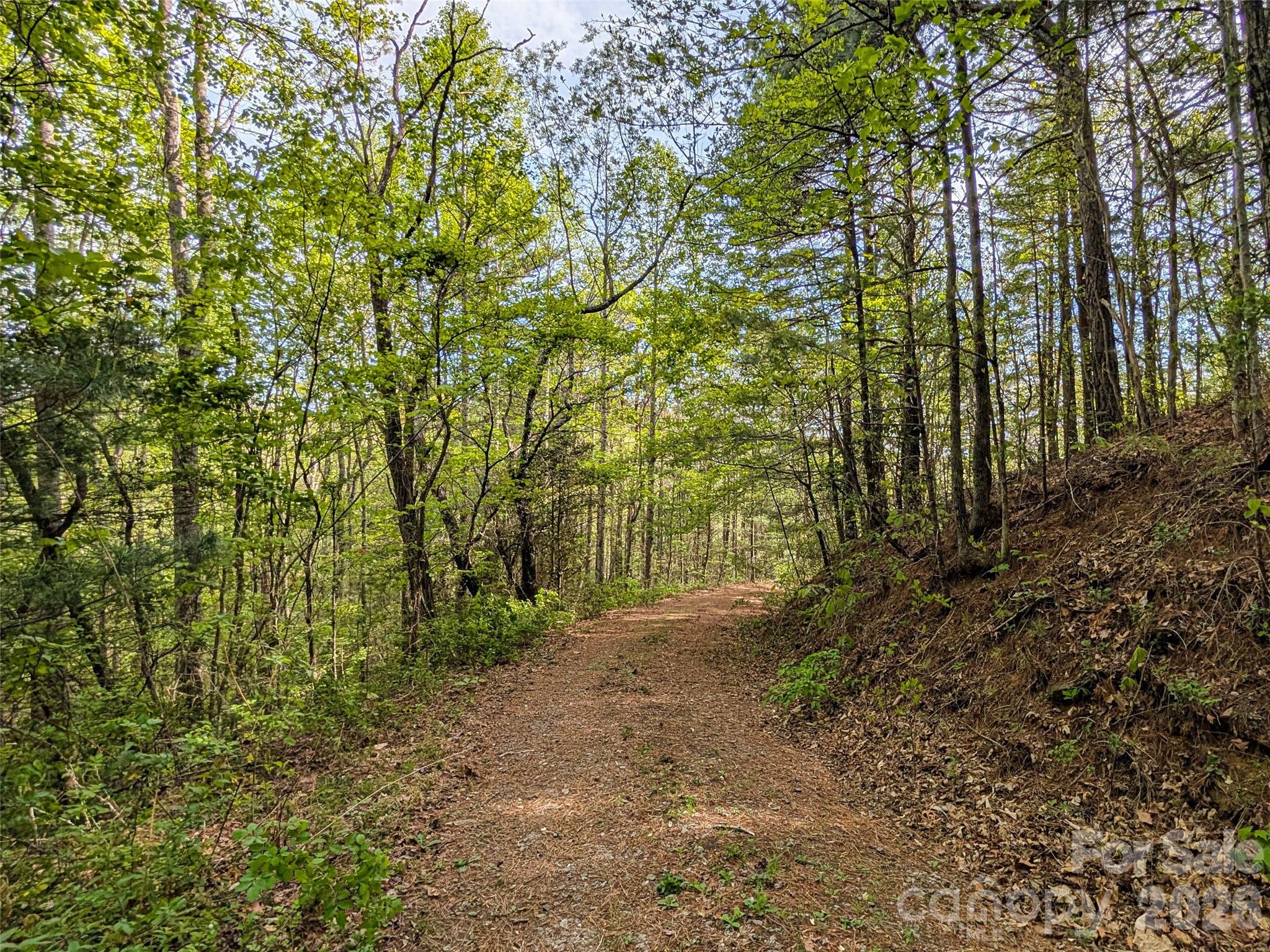 99999 Weldon Way Fairview, NC 28730 - Photo 27 of 34