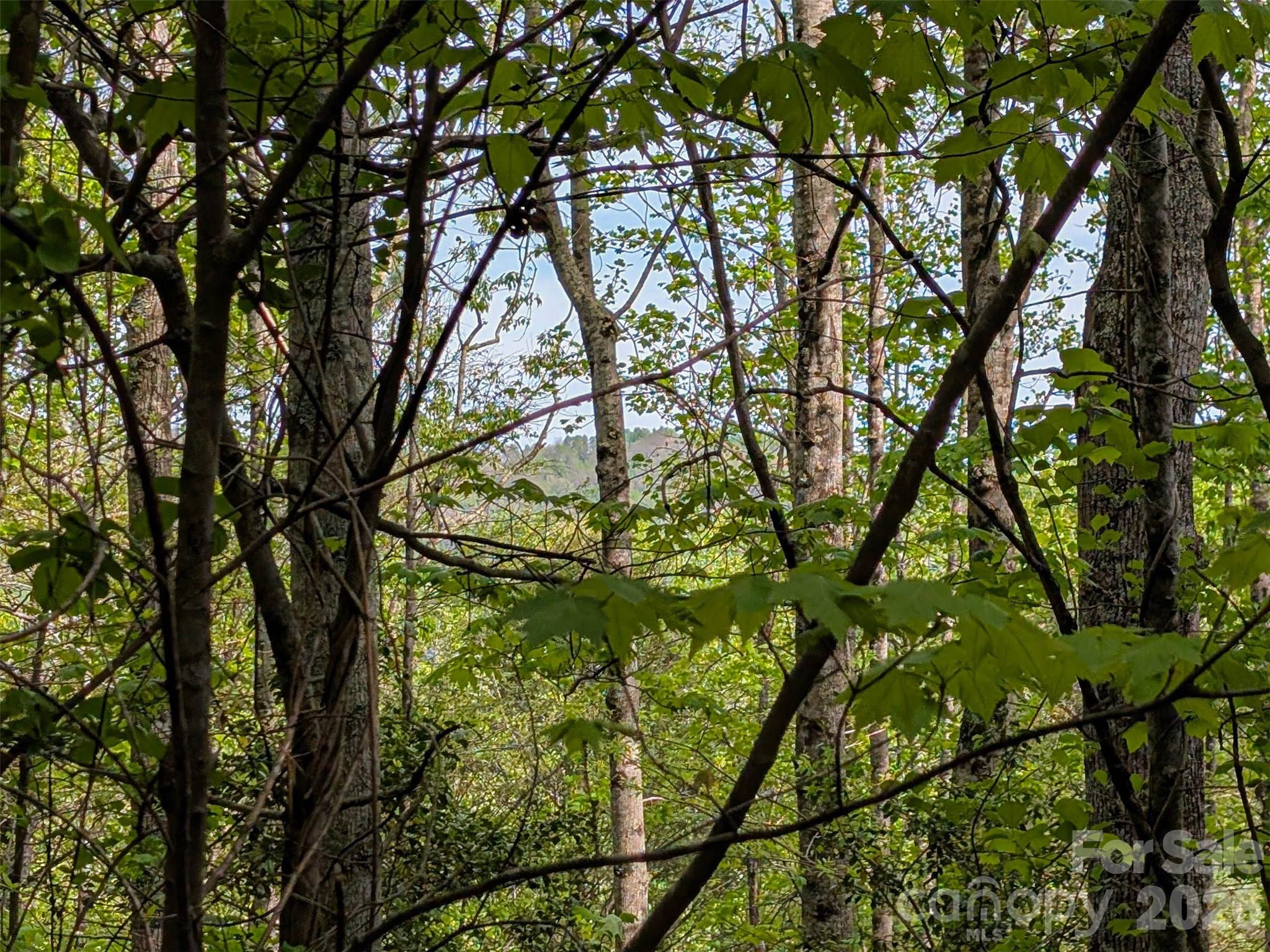 99999 Weldon Way Fairview, NC 28730 - Photo 28 of 34