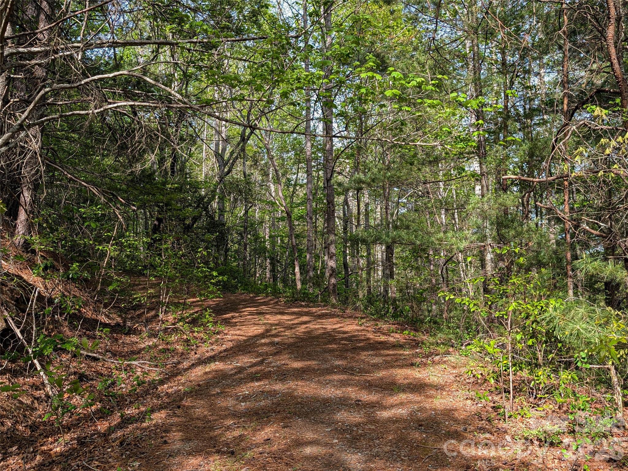 99999 Weldon Way Fairview, NC 28730 - Photo 29 of 34
