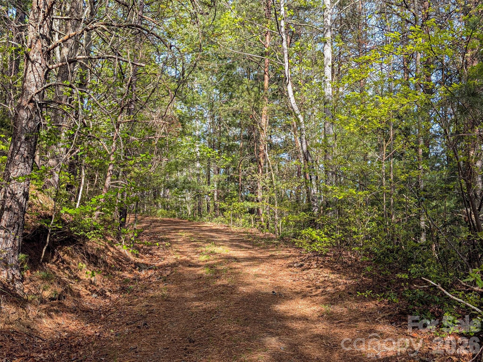 99999 Weldon Way Fairview, NC 28730 - Photo 30 of 34