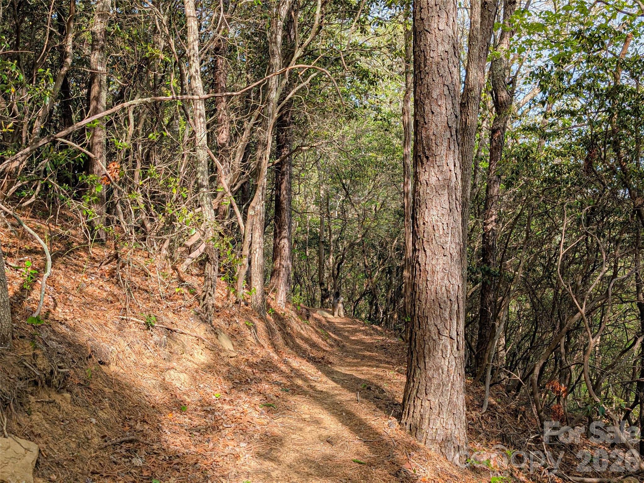 99999 Weldon Way Fairview, NC 28730 - Photo 32 of 34