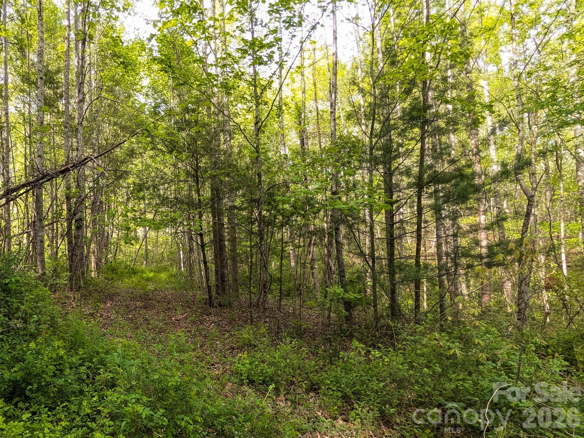 99999 Weldon Way Fairview, NC 28730 - Photo 4 of 34