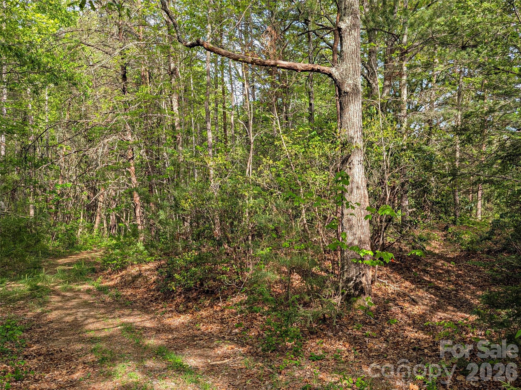 99999 Weldon Way Fairview, NC 28730 - Photo 6 of 34