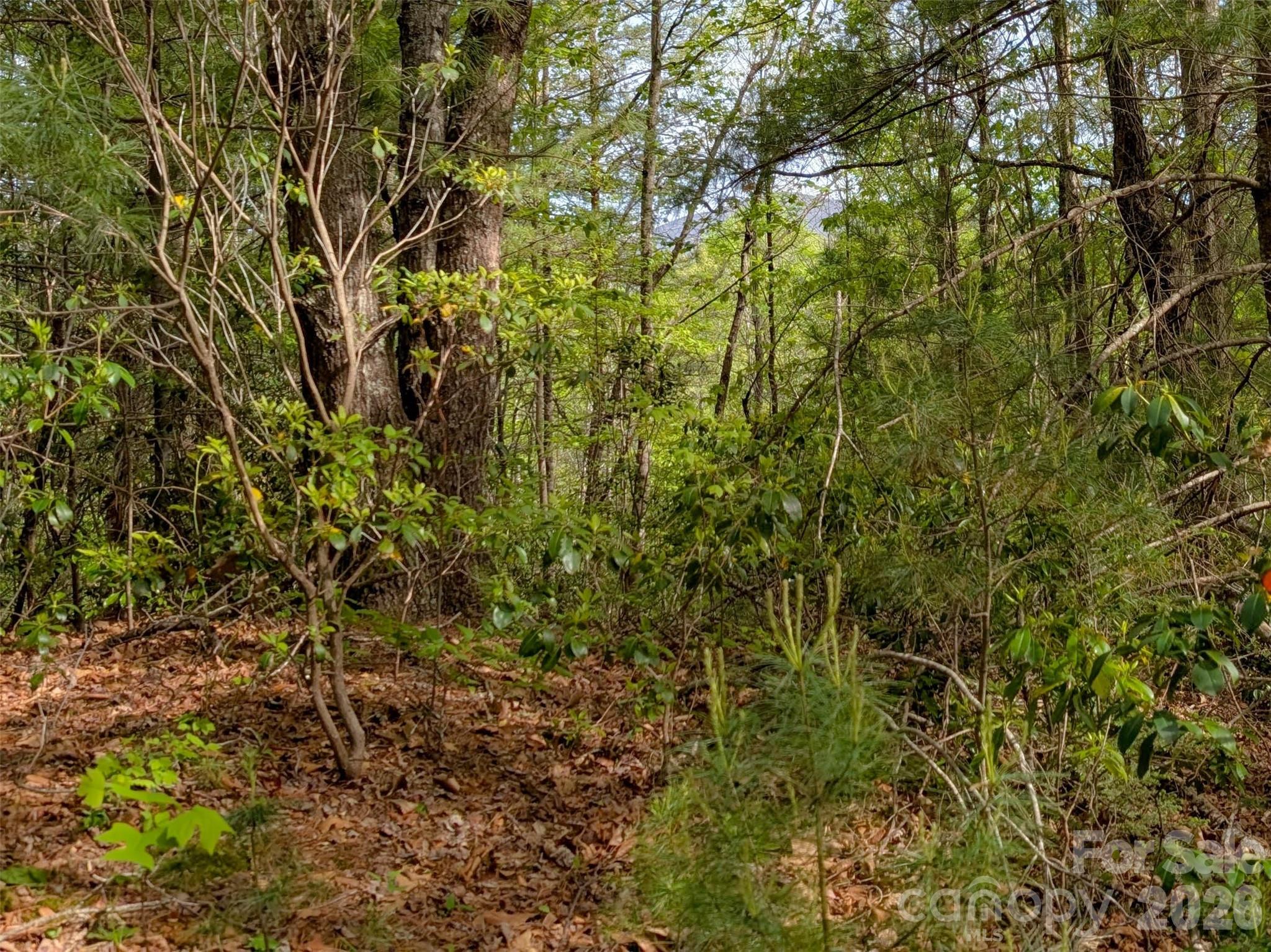 99999 Weldon Way Fairview, NC 28730 - Photo 7 of 34