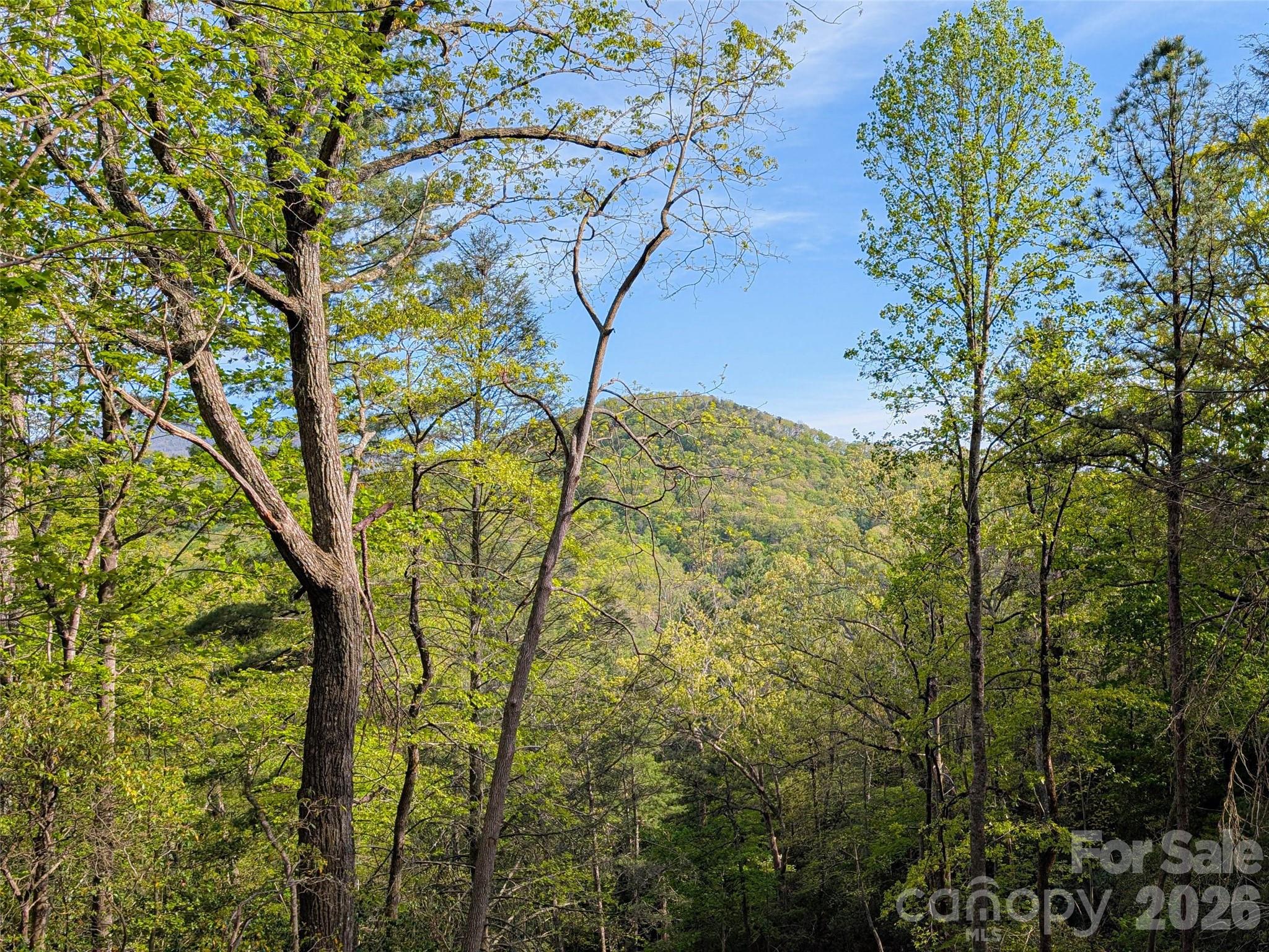 99999 Weldon Way Fairview, NC 28730 - Photo 8 of 34