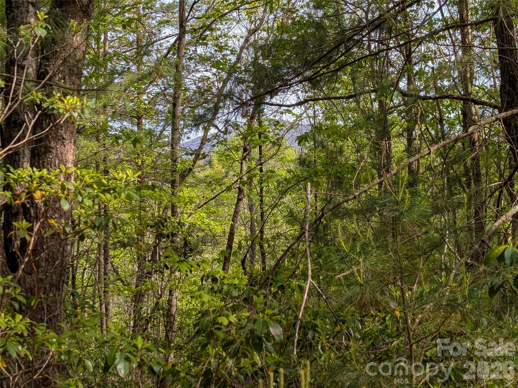 99999 Weldon Way Fairview, NC 28730 - Photo 10 of 34