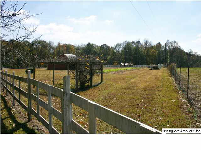 4920 Washington Valley Road Springville, AL 35146 - Photo 17 of 22