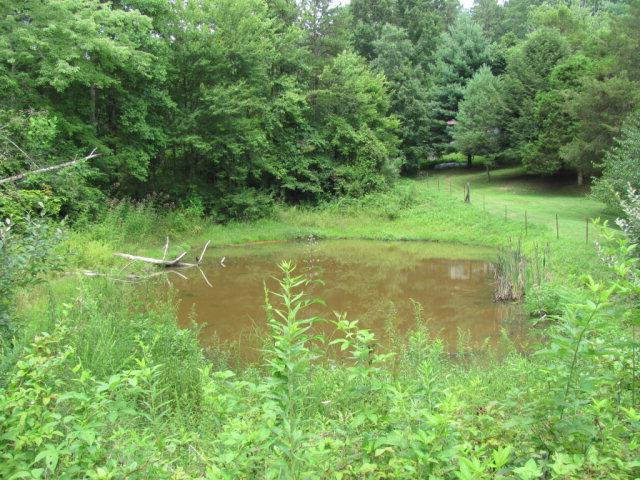 994 War Fork Road McKee, KY 40447 - Photo 9 of 18 Photo 9