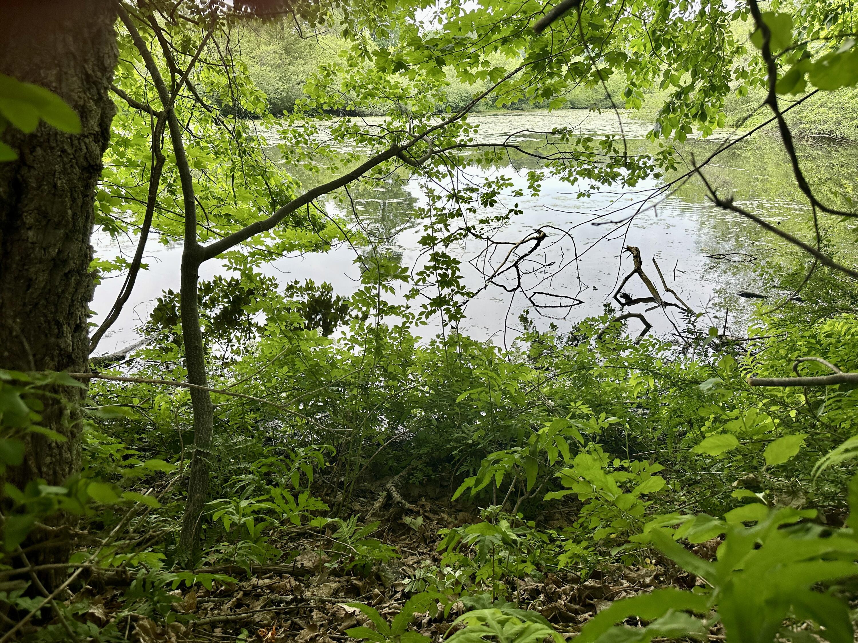 357 Holmes Road Scarborough, ME 04074 - Photo 46 of 60 Merrill Brook