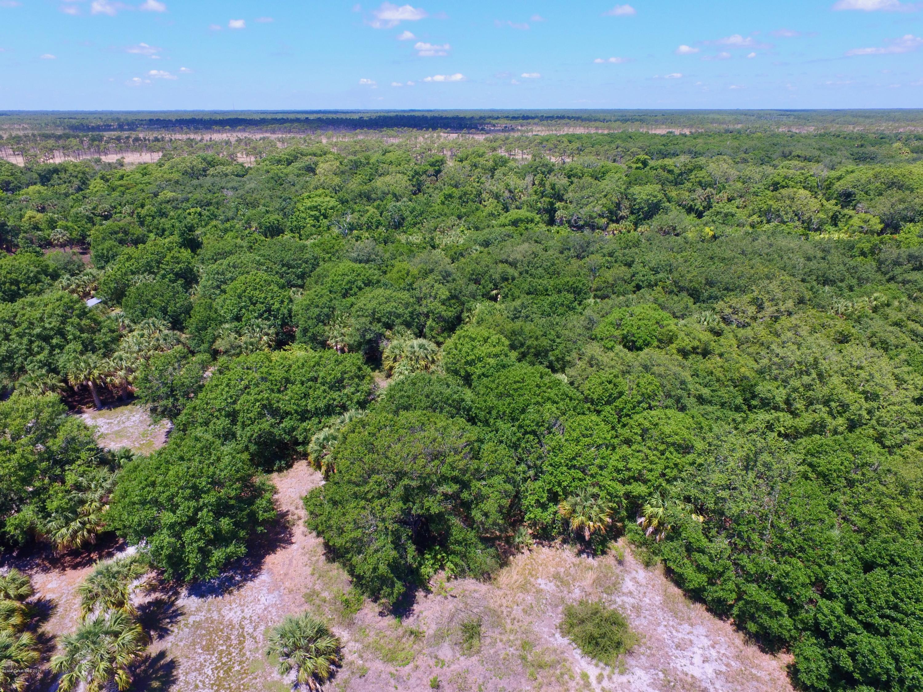 9160 Unknown Road Micco, FL 32976 - Photo 3 of 22 A2