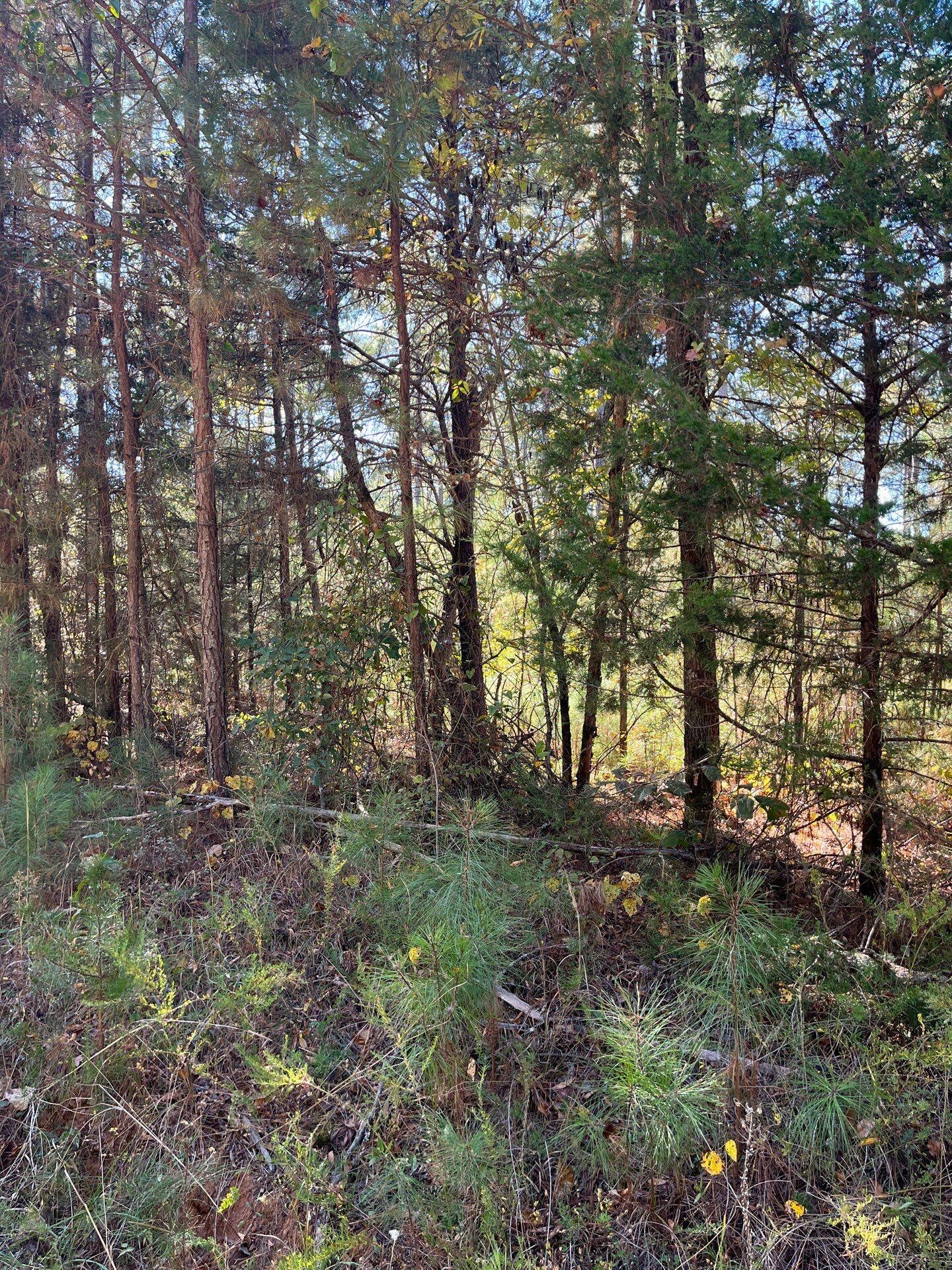 1 Dawkins Road, Unit DRF 1 Pacolet, SC 29372 - Photo 12 of 13 2-Oct 20 2025 07_10pm-dbUr