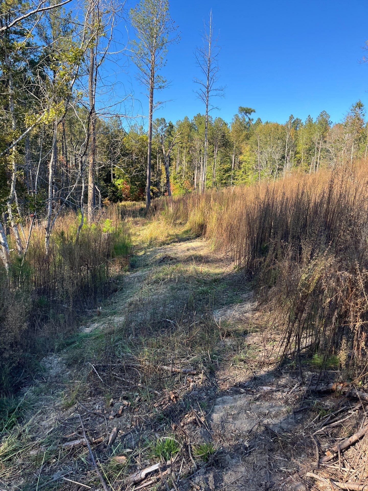 1 Dawkins Road, Unit DRF 1 Pacolet, SC 29372 - Photo 2 of 13 13-Oct 20 2025 07_44pm-Cbi3