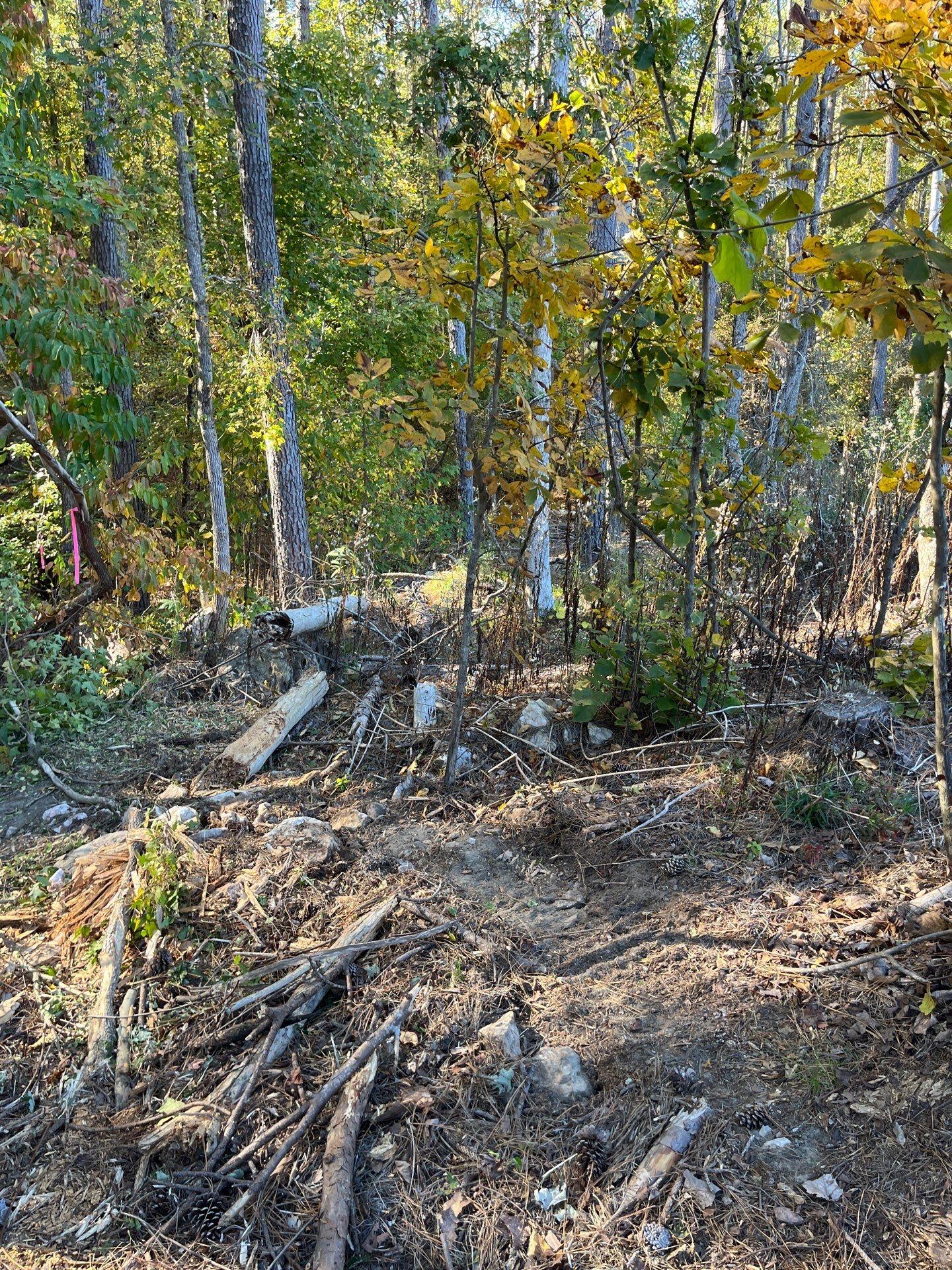 1 Dawkins Road, Unit DRF 1 Pacolet, SC 29372 - Photo 3 of 13 12-Oct 20 2025 07_43pm-yxGy