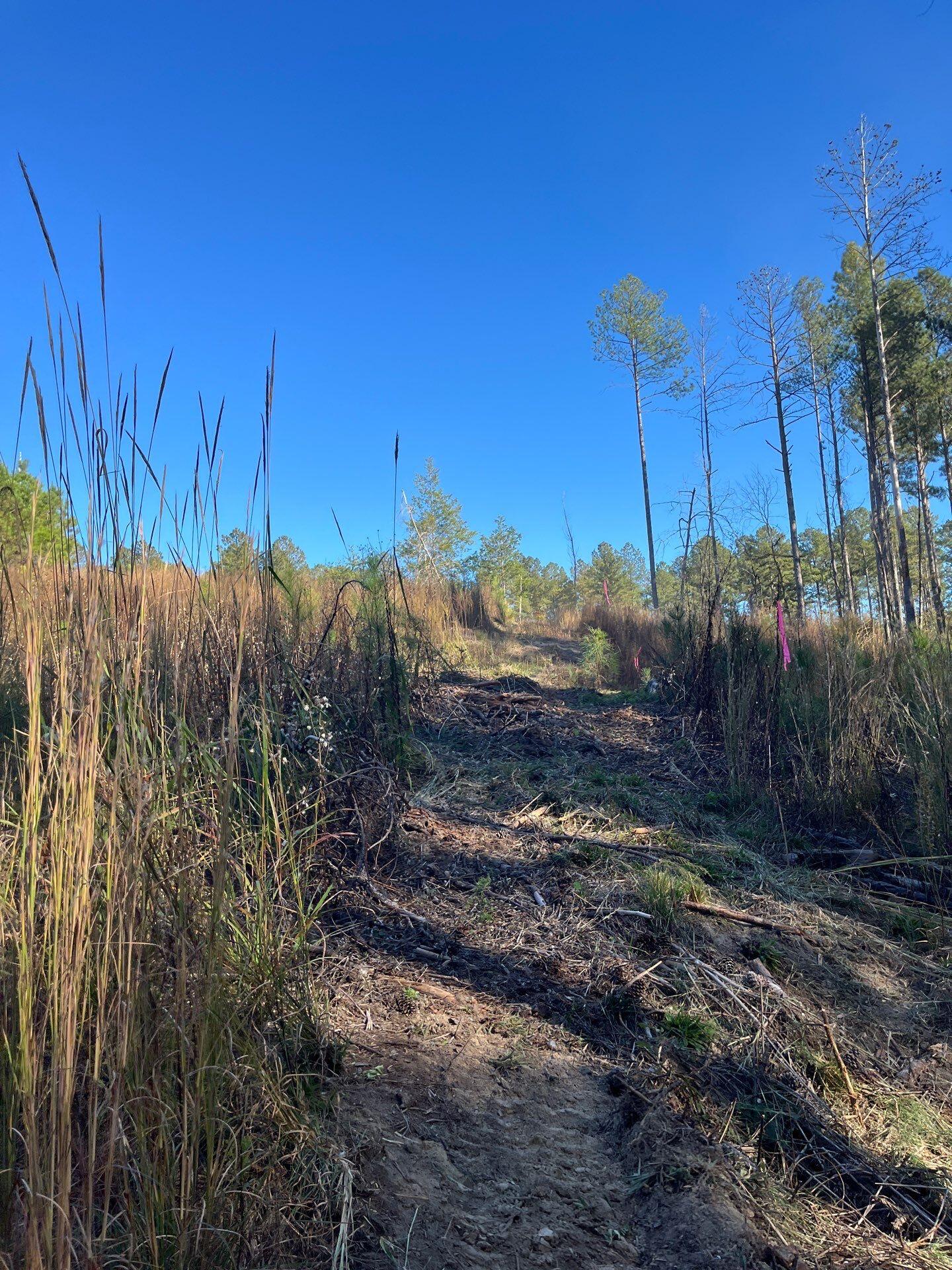 1 Dawkins Road, Unit DRF 1 Pacolet, SC 29372 - Photo 4 of 13 11-Oct 20 2025 07_40pm-jHXC