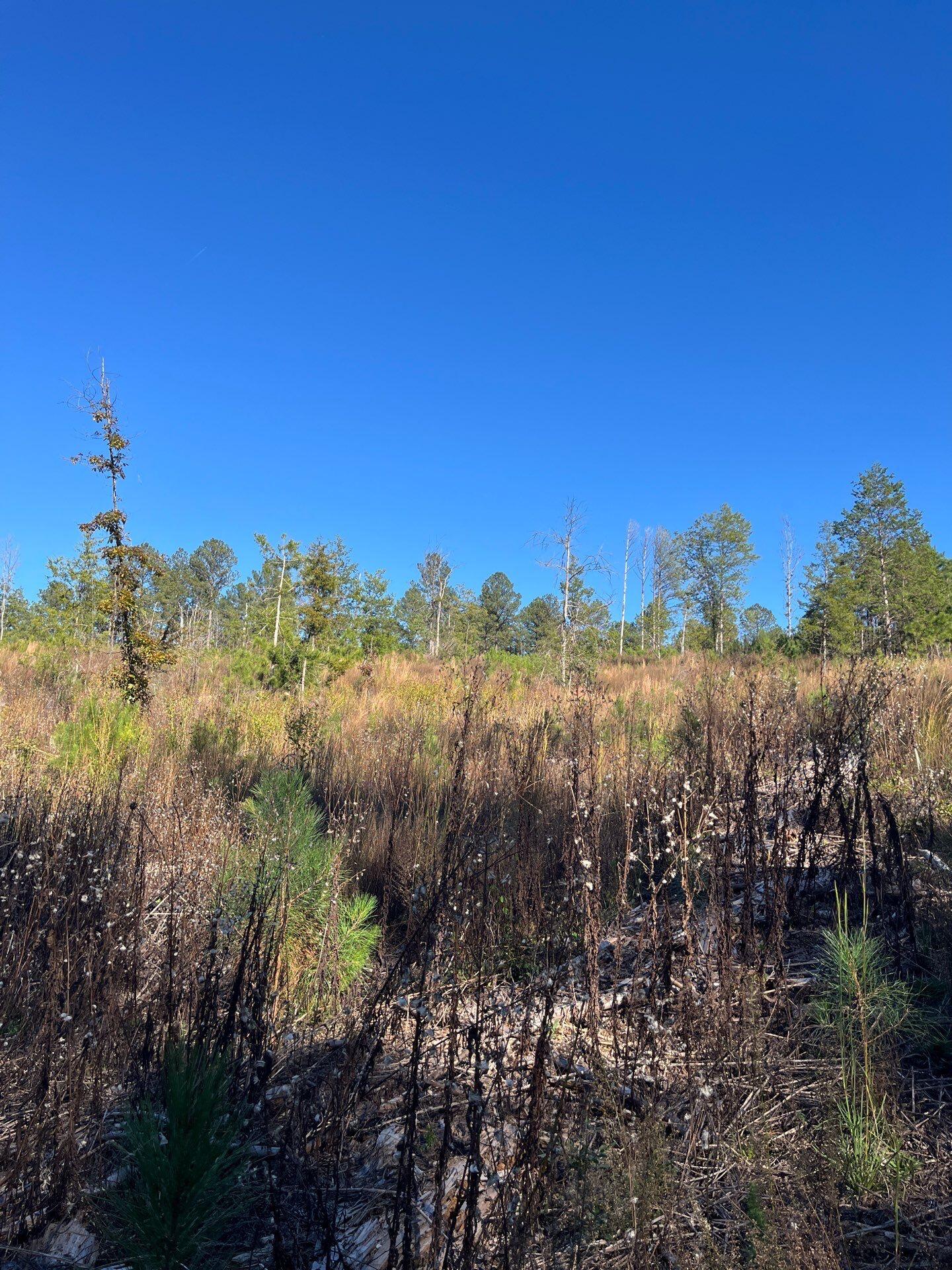 1 Dawkins Road, Unit DRF 1 Pacolet, SC 29372 - Photo 5 of 13 10-Oct 20 2025 07_39pm-DJNW