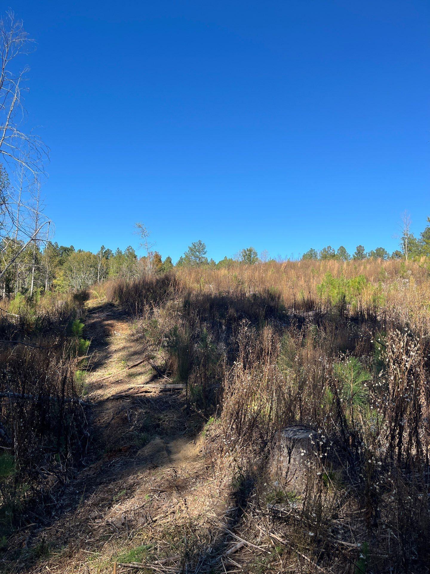 1 Dawkins Road, Unit DRF 1 Pacolet, SC 29372 - Photo 6 of 13 9-Oct 20 2025 07_39pm-rmrS