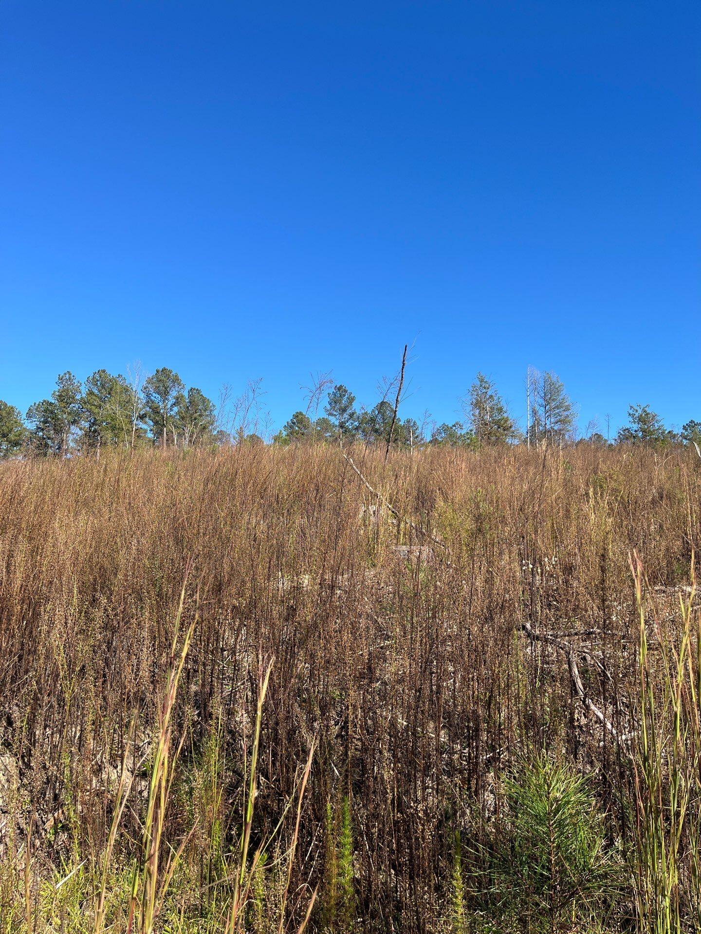 1 Dawkins Road, Unit DRF 1 Pacolet, SC 29372 - Photo 7 of 13 7-Oct 20 2025 07_38pm-ohBN