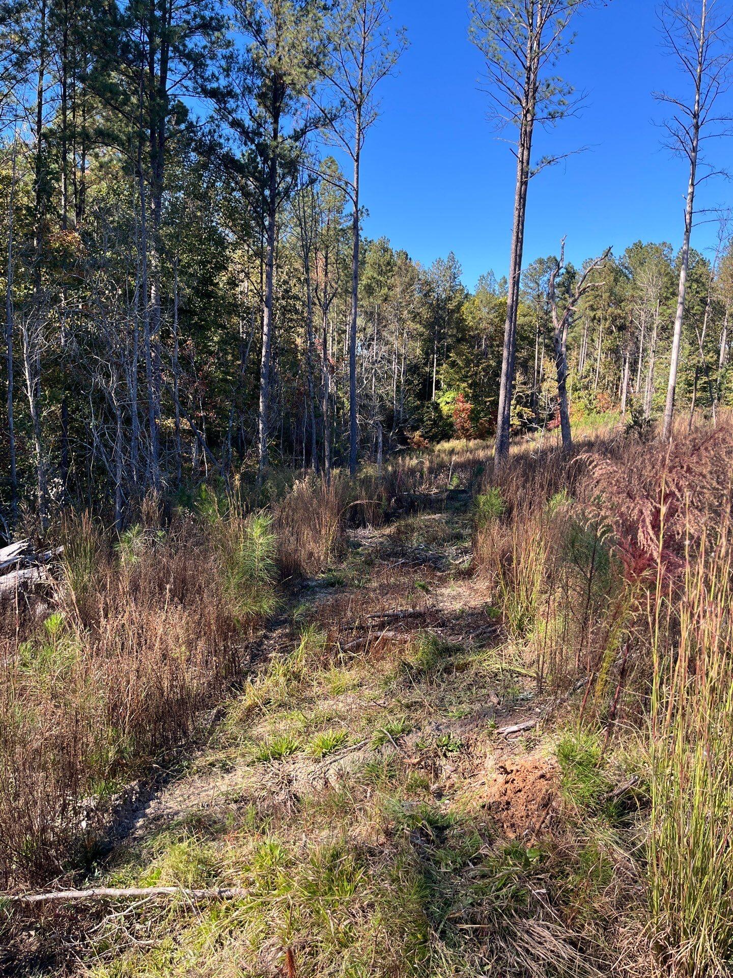 1 Dawkins Road, Unit DRF 1 Pacolet, SC 29372 - Photo 8 of 13 6-Oct 20 2025 07_38pm-6zcE