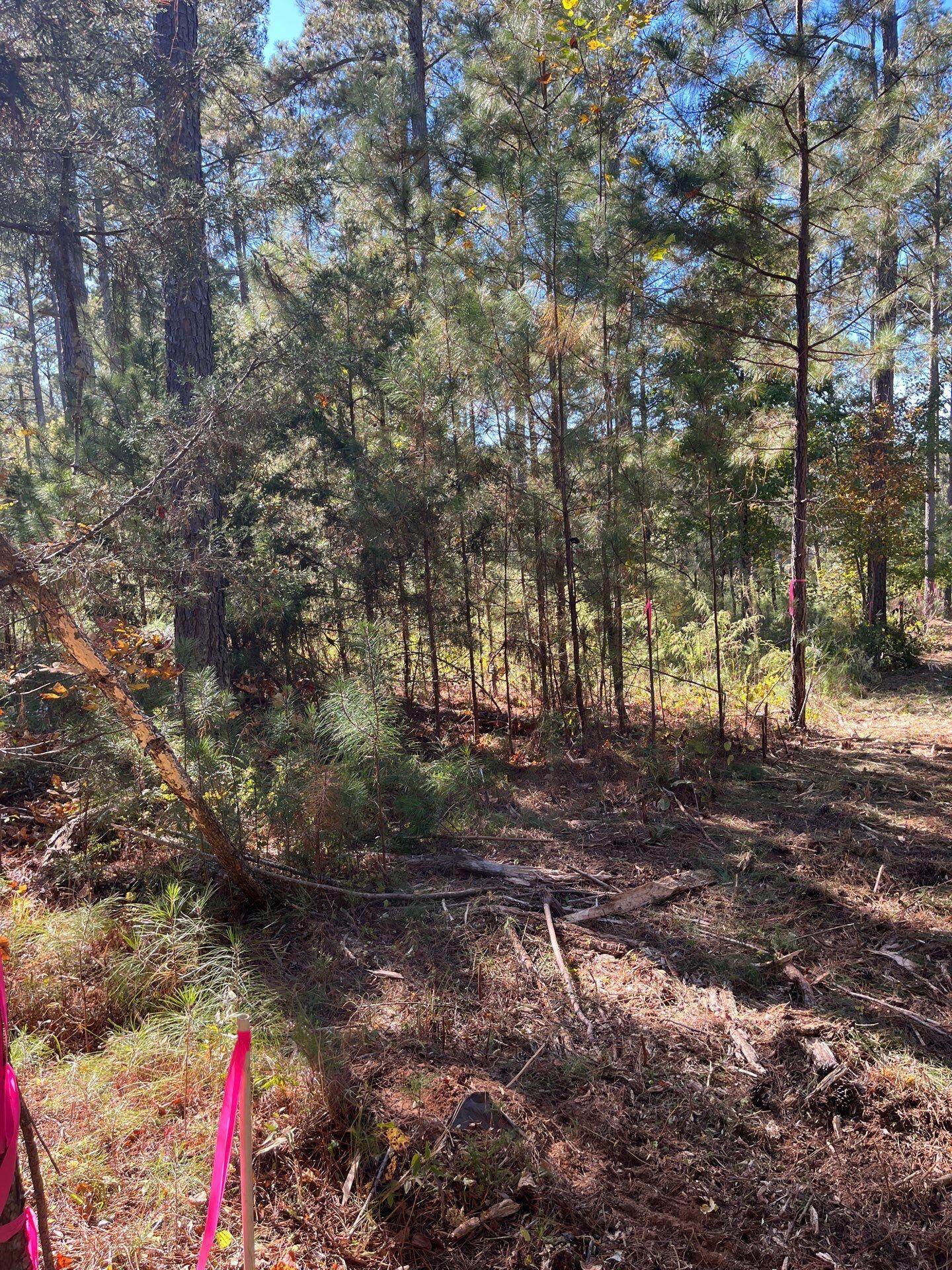 1 Dawkins Road, Unit DRF 1 Pacolet, SC 29372 - Photo 9 of 13 5-Oct 20 2025 07_10pm-qyHh