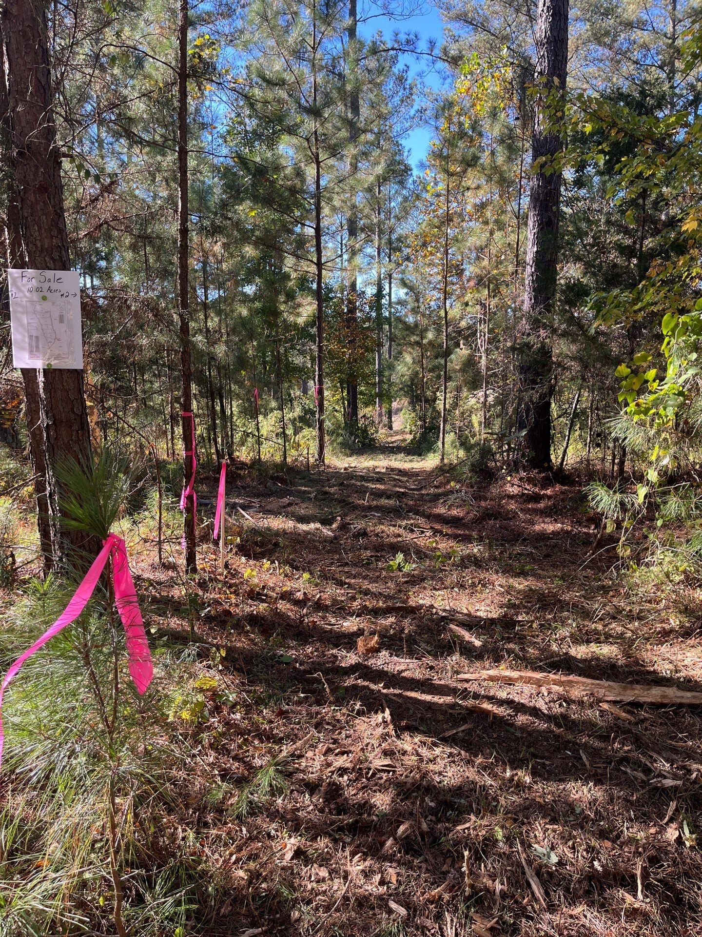 1 Dawkins Road, Unit DRF 1 Pacolet, SC 29372 - Photo 10 of 13 4-Oct 20 2025 07_10pm-P3EP