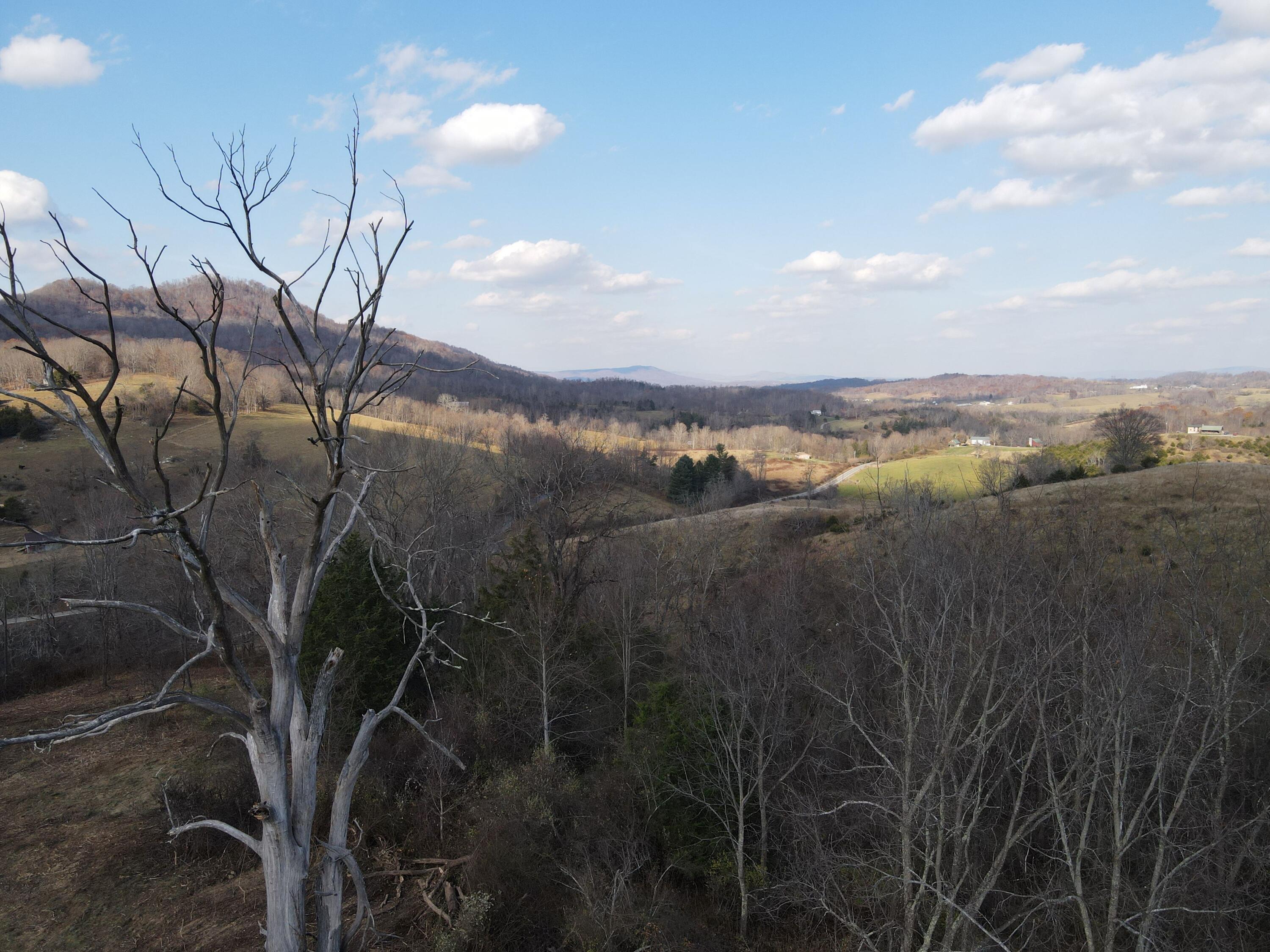 Toulee Ridges Lane Sinks Grove, WV 24976 - Photo 37 of 50 Gallery Image 37