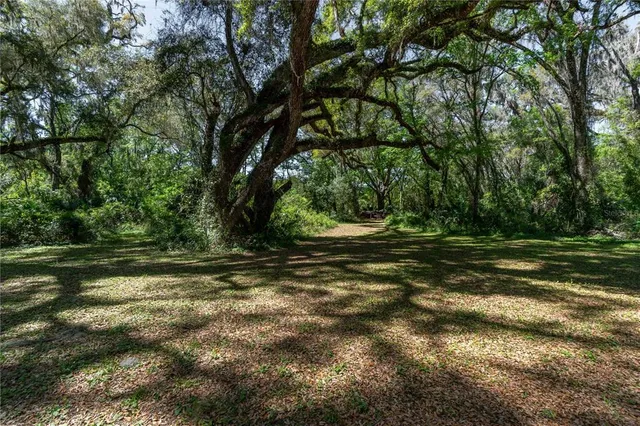 a backyard of a house with lots of green space