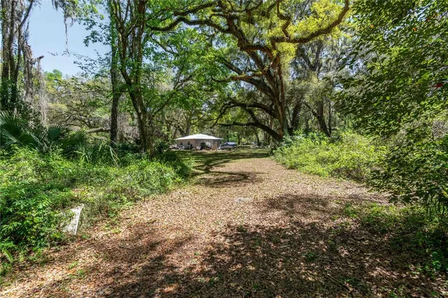 a view of outdoor space with trees