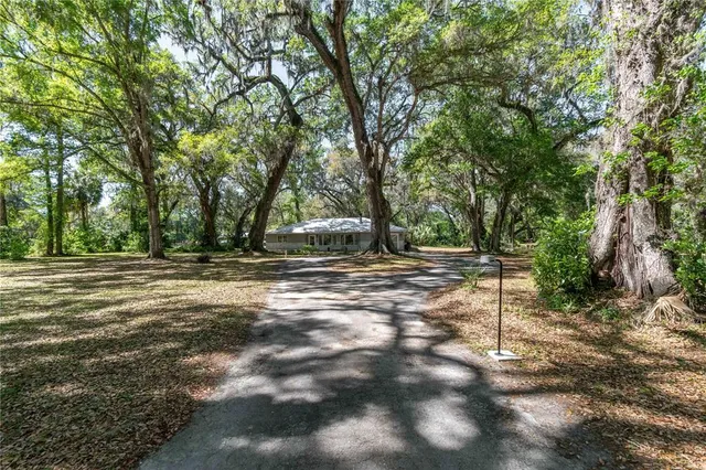 a view of a backyard with a swimming pool