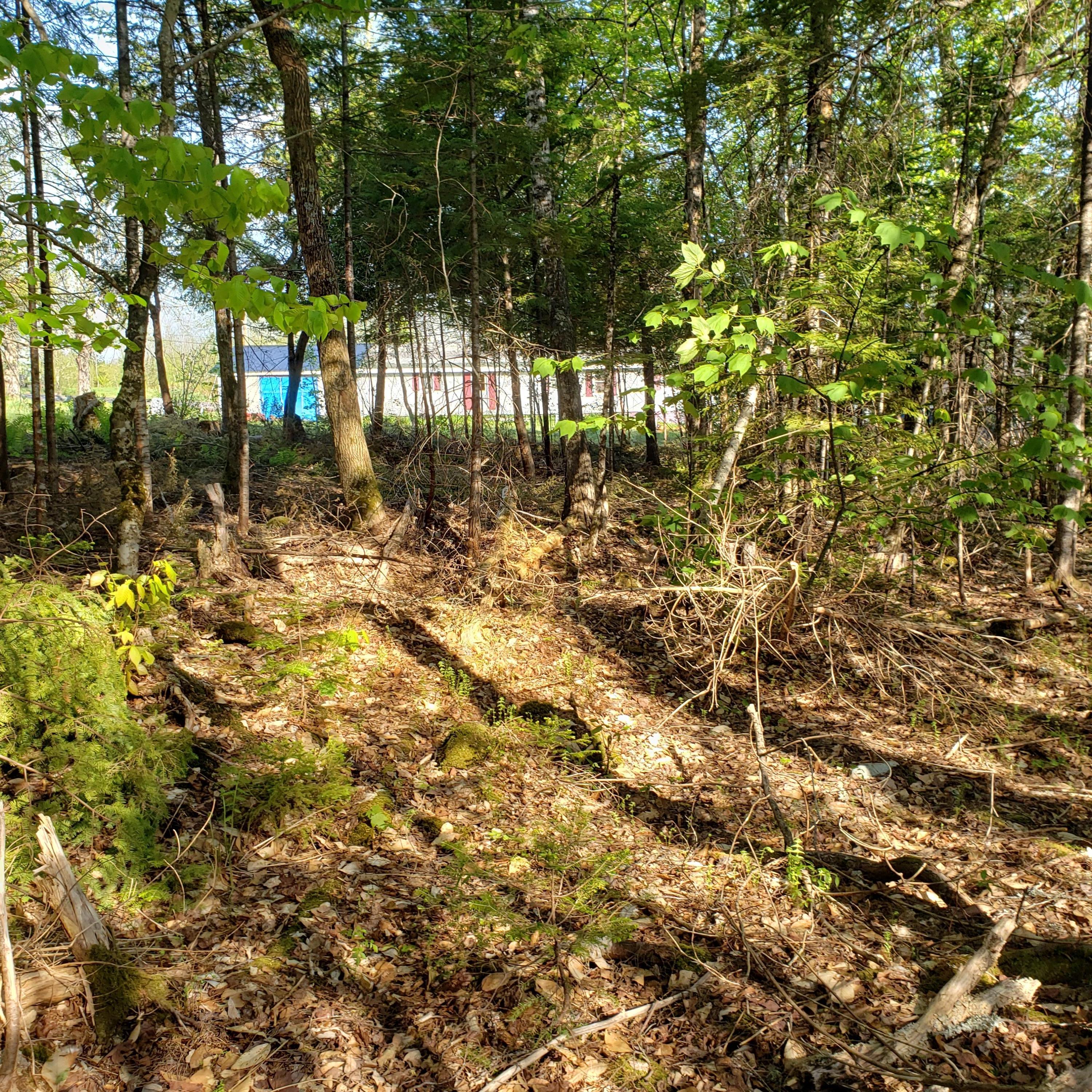 12 Vanceboro Road Route Topsfield, ME 04490 - Photo 59 of 61 Rear of property