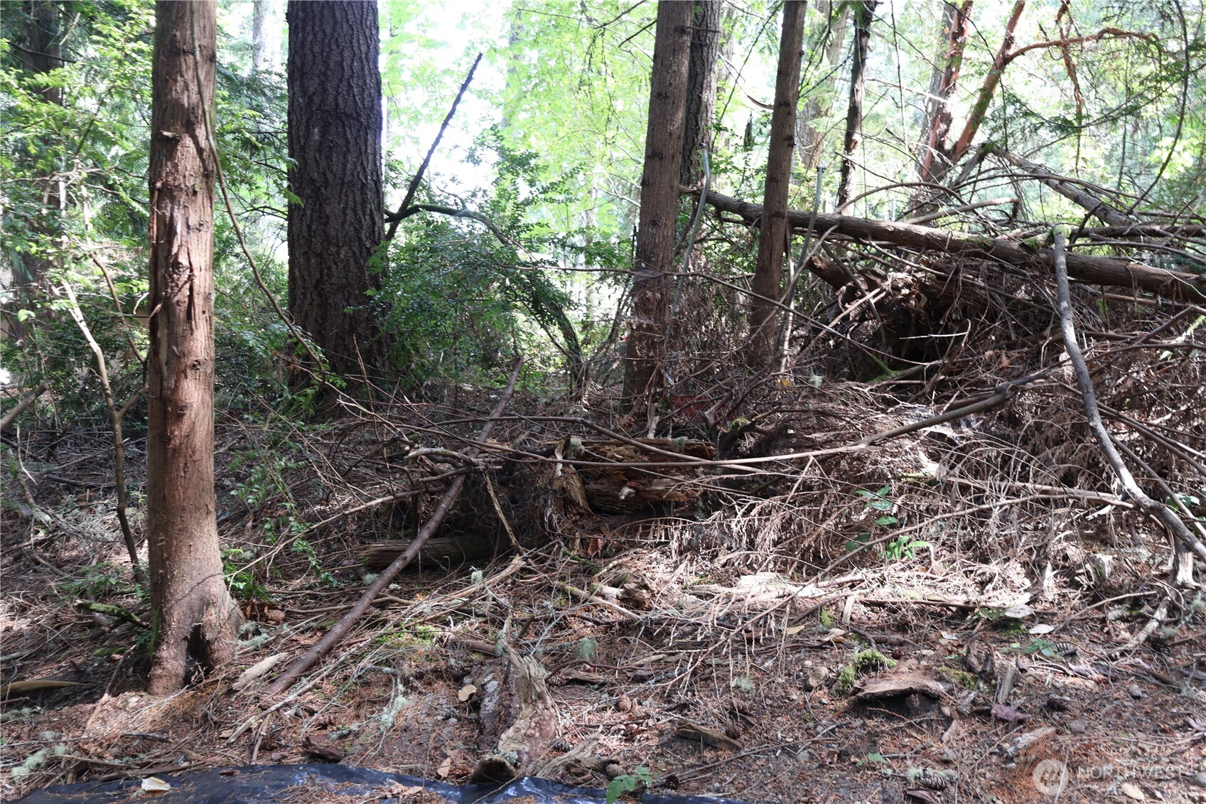 3659 Green Mountain Road Northwest Bremerton, WA 98312 - Photo 17 of 25