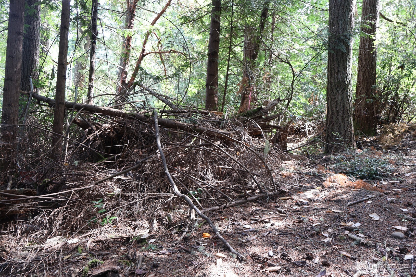3659 Green Mountain Road Northwest Bremerton, WA 98312 - Photo 18 of 25