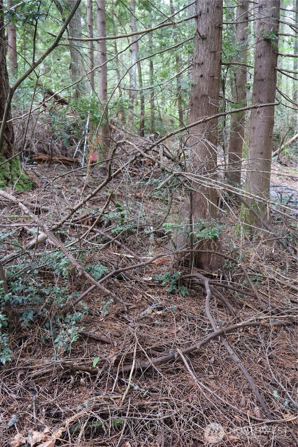 3659 Green Mountain Road Northwest Bremerton, WA 98312 - Photo 21 of 25