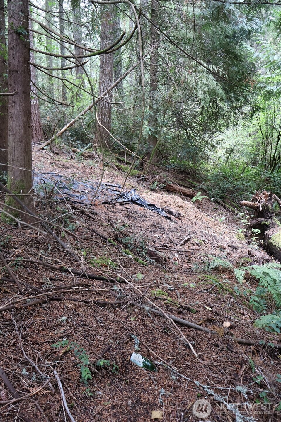 3659 Green Mountain Road Northwest Bremerton, WA 98312 - Photo 22 of 25