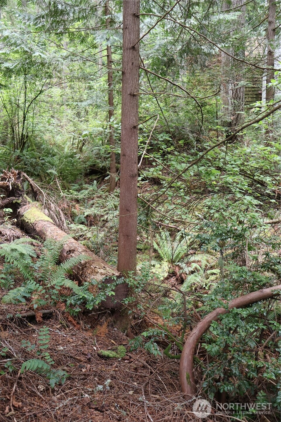 3659 Green Mountain Road Northwest Bremerton, WA 98312 - Photo 23 of 25