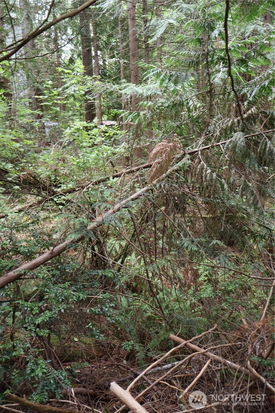 3659 Green Mountain Road Northwest Bremerton, WA 98312 - Photo 24 of 25