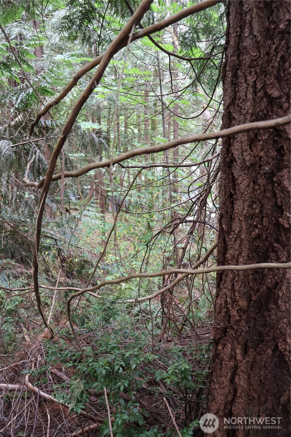 3659 Green Mountain Road Northwest Bremerton, WA 98312 - Photo 25 of 25