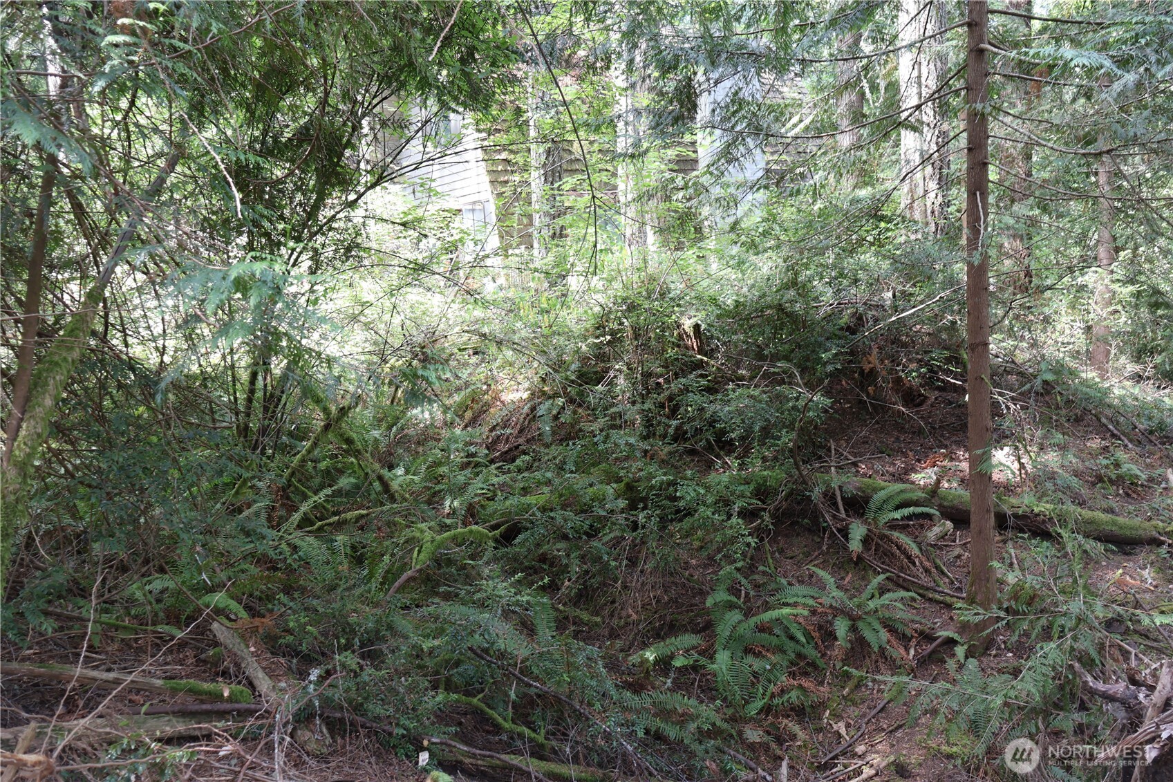 3659 Green Mountain Road Northwest Bremerton, WA 98312 - Photo 4 of 25